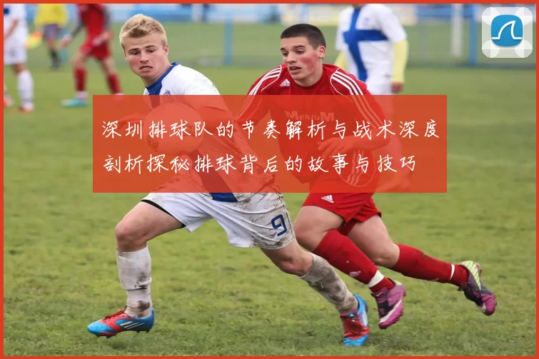 深圳排球队的节奏解析与战术深度剖析探秘排球背后的故事与技巧